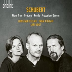 Download track 1. Piano Trio No. 1 In B Flat Major D898 - I. Allegro Moderato Franz Schubert