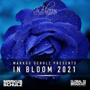 Download track Not Afraid To Fall Markus Schulz Escape Mix Markus Schulz