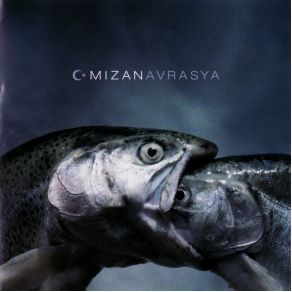 Download track I'M Afraid Of Americans Mizan