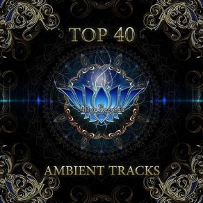 Download track The First Steps Gmo, Dense