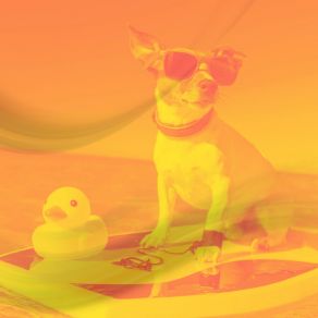 Download track Scintillating Music For Keeping Your Dog Happy Music For Calming Dogs