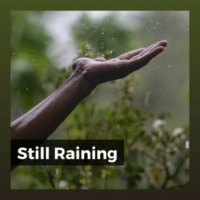 Download track Commendable Rain Nature Soundscapes