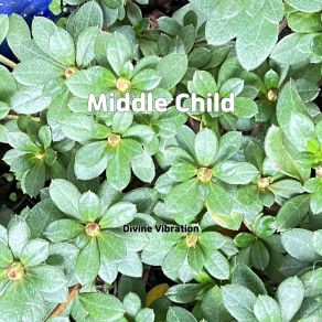 Download track Middle Child Divine Vibration
