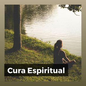 Download track Reflejo De Paz Musica De Relajación Academy