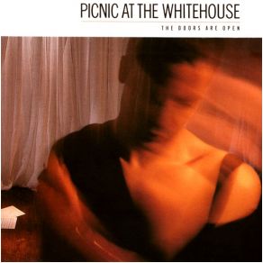 Download track We Need Protection Picnic At The Whitehouse
