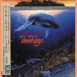 Download track Surfin The Beach Boys
