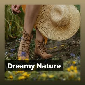 Download track Spring Bird Sounds Sounds Of Nature Noise