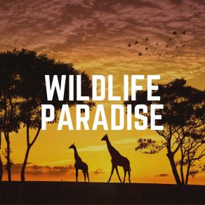 Download track Transformative Power Wildlife Sound Recordings