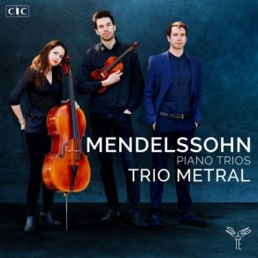 Download track Piano Trio No. 2, Op. 66: IV. Finale. Allegro Appassionato Trio Metral