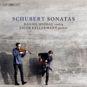 Download track 06. Duo Sonata In A Major, Op. 162, D. 574 (Arr. J. Kellermann For Violin & Guitar) III. Andantino Franz Schubert