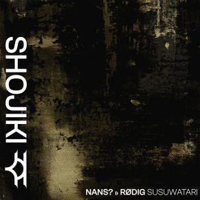 Download track Sleet Nans