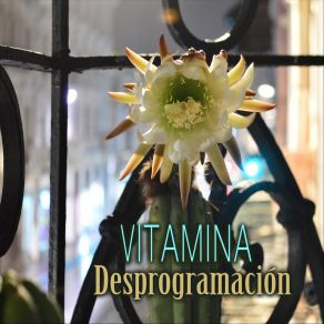 Download track Sanación Vitamina