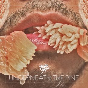Download track Before I'M Done Toro Y Moi