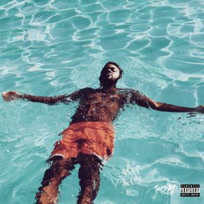 Download track What A Time To Be Alive DaVinci KitsunéParker Howell