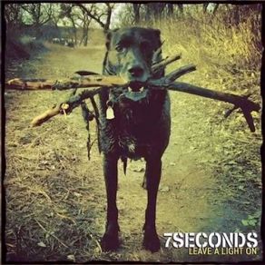 Download track Leave A Light On 7 Seconds