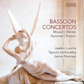 Download track Bassoon Concerto In B-Flat Major, K. 191: I. Allegro Jaakko Luoma