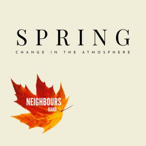 Download track Why Do We Have To Say Goodbye Neighbours Band