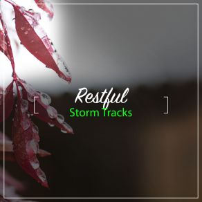 Download track 10 Minute Loopable Heavy Rain Lightening Storm SoundsAsian Zen Spa Music Meditation, Sleep Sounds Of Nature, SPA RELAXATION