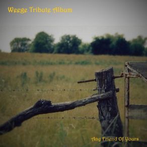 Download track Not A Test Friends Of Weege