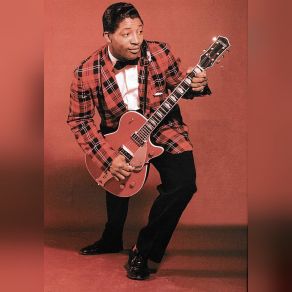 Download track I'm Looking For A Woman Bo Diddley