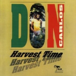 Download track Magic Man Don Carlos