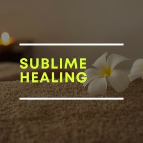 Download track Stop For A Second Thai Massage Music