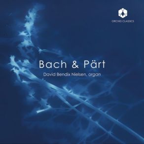 Download track 05. Organ Concerto In D Minor, BWV 596 (After Vivaldi _ S RV 565) II. Largo E Spiccato David Bendix Nielsen