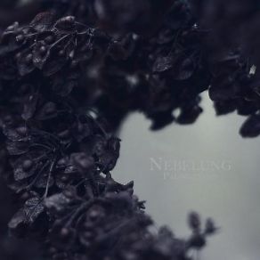 Download track Polaris Nebelung