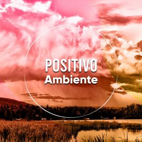Download track Som Da Chuva: Relaxamento Suave Para Sequência Water AmbienceSleep Ambience
