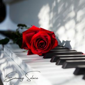 Download track Tender Starlight Whisper Romantic Piano