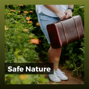 Download track Streams Flow Continually Soft Soundscapes