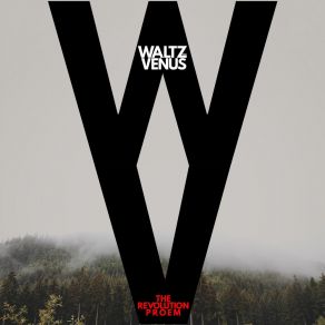 Download track Paint A Picture Waltz For Venus