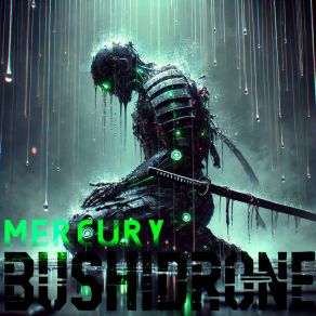 Download track Error System Bushidrone