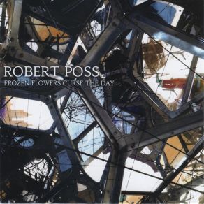 Download track The Test Pattern Setting Robert Poss