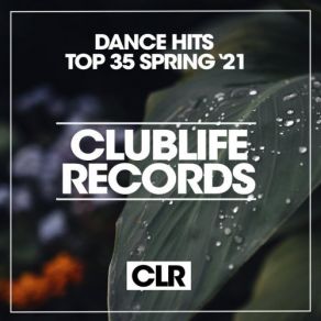 Download track Froggy (Original Mix) Ian Rider