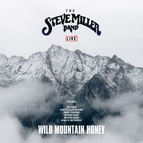 Download track Baby's Callin' Me Home (Live) Steve Miller Band