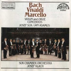 Download track A. Vivaldi, Concerto In D Major, Op. 3, RV 230 / II. Larghetto Suk Josef, Suk Chamber Orchestra, Jan Adamus
