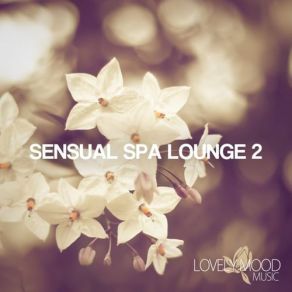 Download track Beyond Imagination (Arshia Alipour Strings Remix) Raham