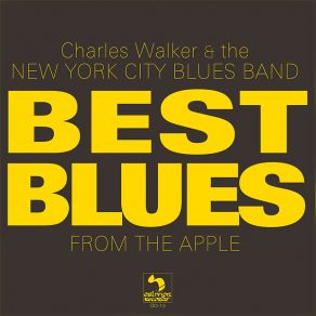 Download track I'm A Good Man But A Poor Man Charles Walker, The New York City Blues Band