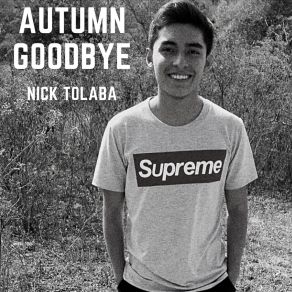 Download track I'm So Curious Nick Tolaba