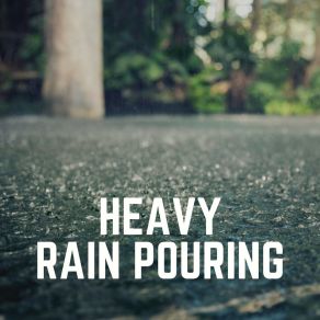 Download track Rain Playlist Sounds Of Rain