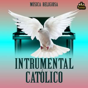 Download track Altisimo Señor Musica Religiosa
