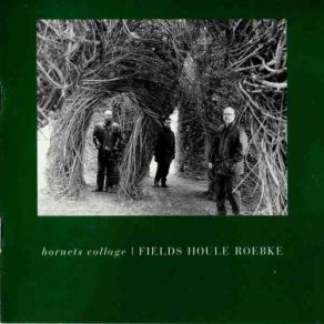 Download track In A Perfect World François Houle, Scott Fields, Jason Roebke