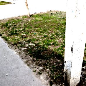 Download track Cold Spring Rpxx44
