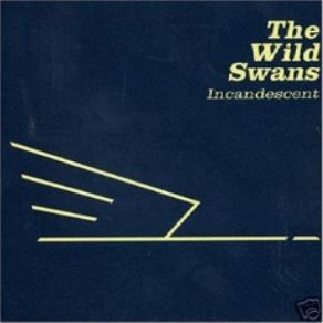 Download track Now You're Perfect (Slow) (Live) The Wild SwansSlow