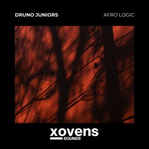 Download track Hard Drive (Original Mix) Druno Juniors