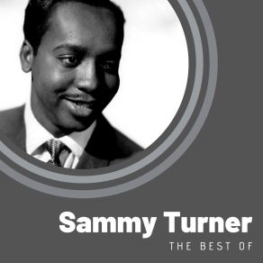 Download track Wrapped Up In A Dream Sammy Turner