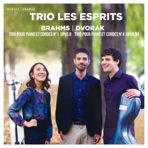 Download track Piano Trio No. 4, Op. 90