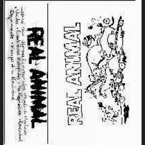Download track Real Animal - 06 - No Represión Real Animal