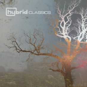 Download track Break My Soul Hybrid